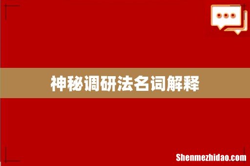 神秘调研法名词解释