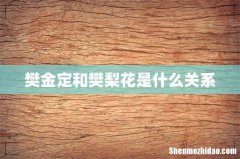 樊金定和樊梨花是什么关系