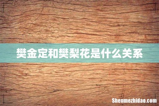 樊金定和樊梨花是什么关系