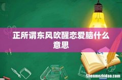 正所谓东风吹醒恋爱脑什么意思