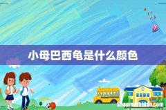 小母巴西龟是什么颜色