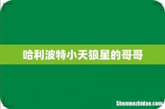 哈利波特小天狼星的哥哥