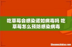 吃草莓会感染诺如病毒吗 吃草莓怎么预防感染病毒