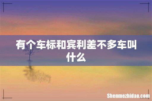 有个车标和宾利差不多车叫什么