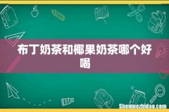 布丁奶茶和椰果奶茶哪个好喝