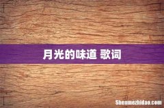 月光的味道 歌词