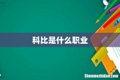 科比是什么职业