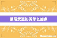 峨眉武道沁芳怎么加点