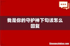 我是你的守护神下句该怎么回复