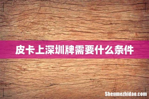 皮卡上深圳牌需要什么条件