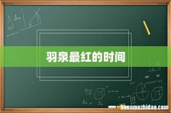 羽泉最红的时间