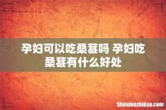孕妇可以吃桑葚吗 孕妇吃桑葚有什么好处