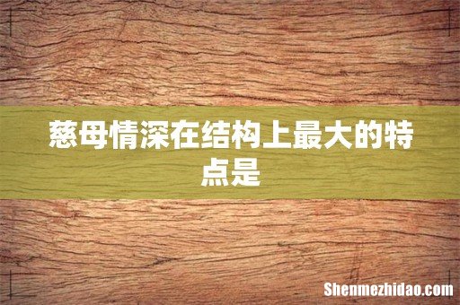 慈母情深在结构上最大的特点是