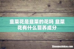 韭菜花是韭菜的花吗 韭菜花有什么营养成分