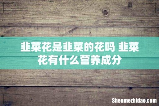 韭菜花是韭菜的花吗 韭菜花有什么营养成分