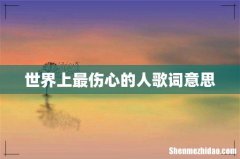 世界上最伤心的人歌词意思