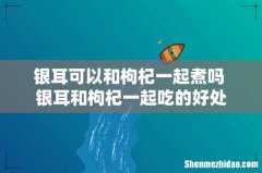银耳可以和枸杞一起煮吗 银耳和枸杞一起吃的好处