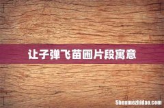 让子弹飞苗圃片段寓意
