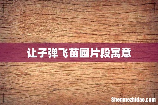 让子弹飞苗圃片段寓意
