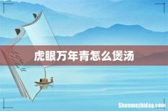 虎眼万年青怎么煲汤