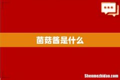 菌菇酱是什么