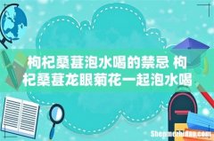 枸杞桑葚泡水喝的禁忌 枸杞桑葚龙眼菊花一起泡水喝有什么功效