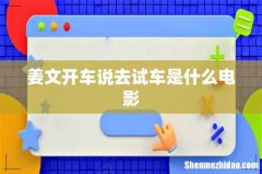 姜文开车说去试车是什么电影