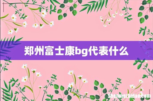 郑州富士康bg代表什么
