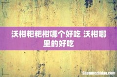 沃柑粑粑柑哪个好吃 沃柑哪里的好吃