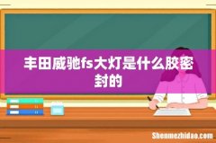丰田威驰fs大灯是什么胶密封的