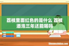 荔枝里面红色的是什么 荔枝酒泡三年还能喝吗