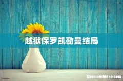 越狱保罗凯勒曼结局