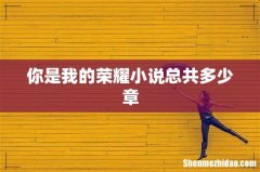 你是我的荣耀小说总共多少章