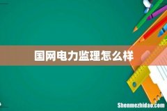国网电力监理怎么样