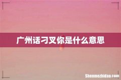 广州话刁叉你是什么意思
