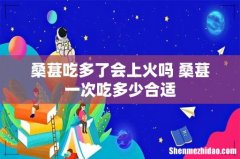 桑葚吃多了会上火吗 桑葚一次吃多少合适