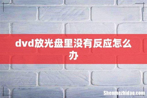 dvd放光盘里没有反应怎么办