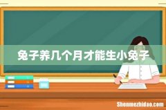 兔子养几个月才能生小兔子