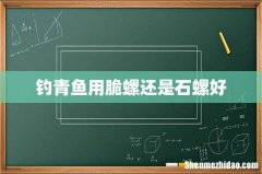 钓青鱼用脆螺还是石螺好