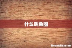 什么叫兔圈