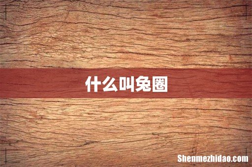 什么叫兔圈