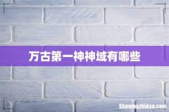 万古第一神神域有哪些