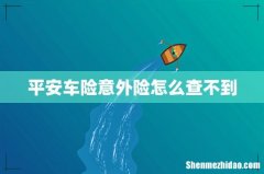 平安车险意外险怎么查不到