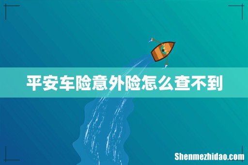 平安车险意外险怎么查不到
