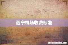 西宁机场收费标准