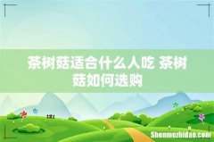 茶树菇适合什么人吃 茶树菇如何选购