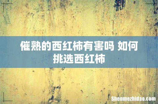 催熟的西红柿有害吗 如何挑选西红柿