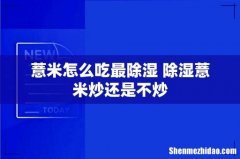 薏米怎么吃最除湿 除湿薏米炒还是不炒