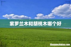 紫罗兰木和胡桃木哪个好