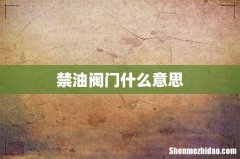 禁油阀门什么意思